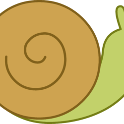 Snail Drawing Image