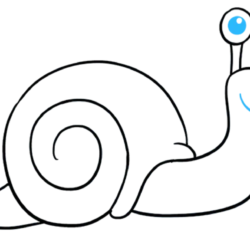 Snail Drawing Intricate Artwork