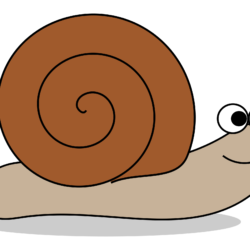 Snail Drawing Realistic Sketch