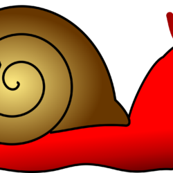 Snail Drawing Unique Art