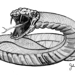 Snake Drawing Intricate Artwork