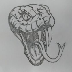Snake Head Drawing Amazing Sketch