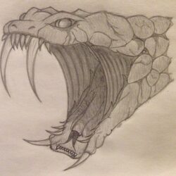 Snake Head Drawing Artistic Sketching