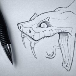 Snake Head Drawing Beautiful Artwork