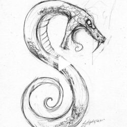 Snake Head Drawing Unique Art