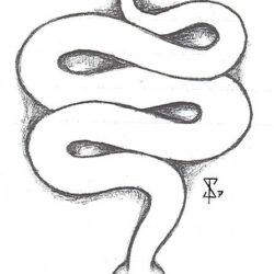 Snake Tattoo Drawing