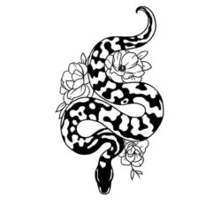 Snake Tattoo Drawing Hand Drawn Sketch