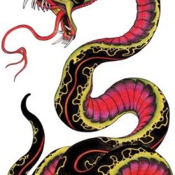 Snake Tattoo Drawing Intricate Artwork