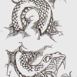 Snake Tattoo Drawing Sketch