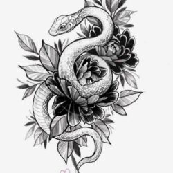 Snake Tattoo Drawing Stunning Sketch