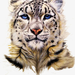 Snow Leopard Drawing Intricate Artwork