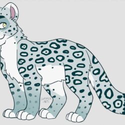 Snow Leopard Drawing Professional Artwork