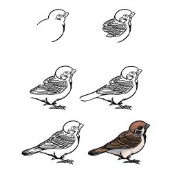 Sparrow Drawing Intricate Artwork