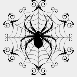 Spider Web Drawing Art