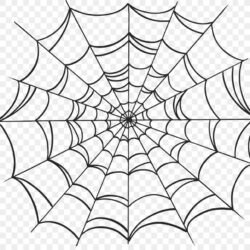 Spider Web Drawing Artistic Sketching