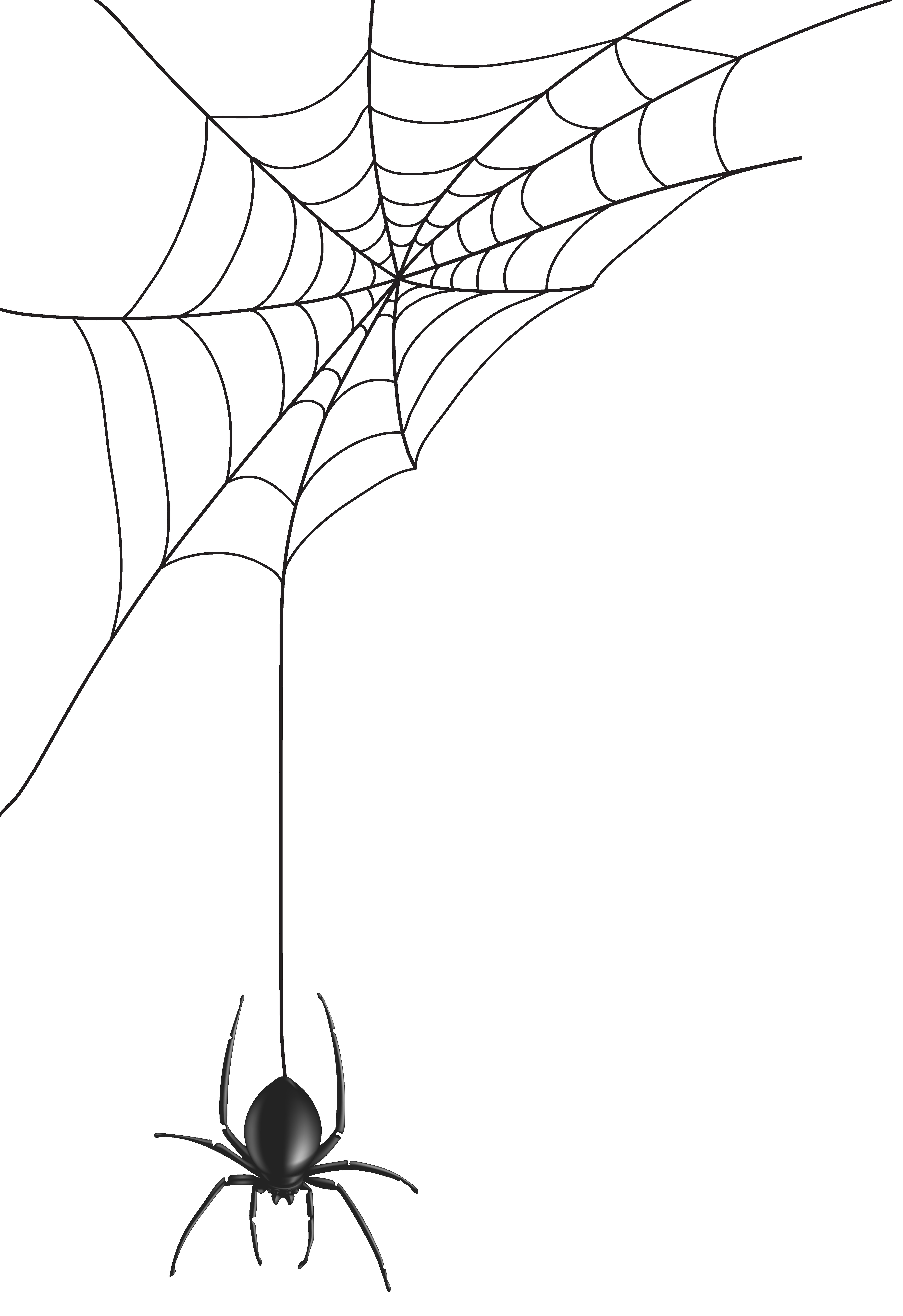 Spider Web Drawing Intricate Artwork