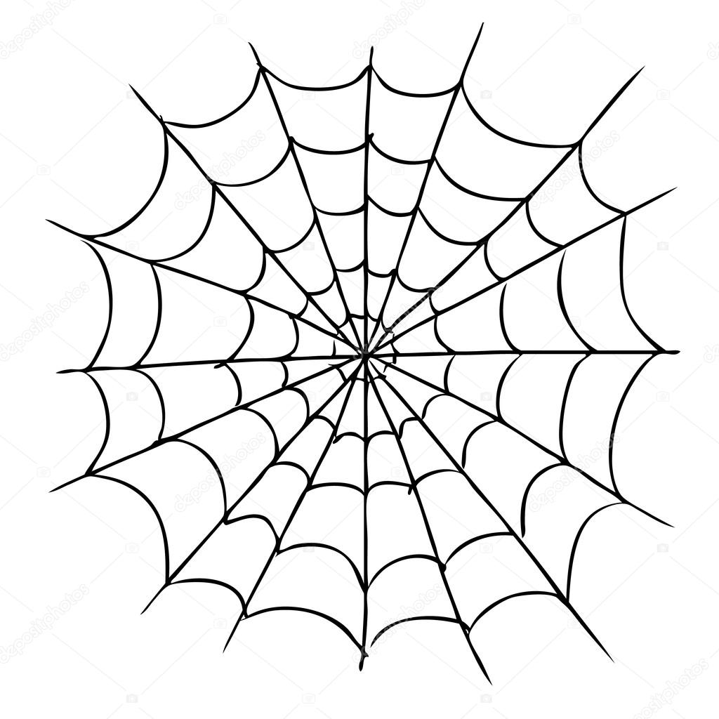 Spider Web Drawing Modern Sketch