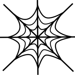 Spider Web Drawing Realistic Sketch