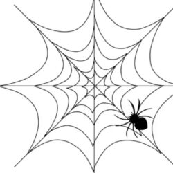 Spider Web Drawing Stunning Sketch