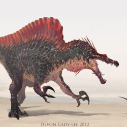 Spinosaurus Drawing Amazing Sketch