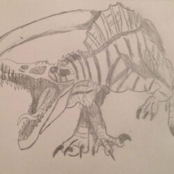 Spinosaurus Drawing Image