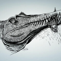 Spinosaurus Drawing Modern Sketch