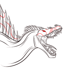 Spinosaurus Drawing Sketch