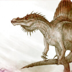 Spinosaurus Drawing Stunning Sketch