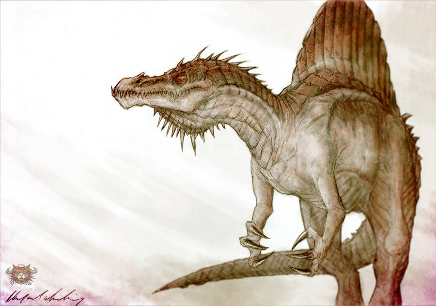Spinosaurus Drawing Stunning Sketch