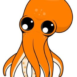 Squid Drawing