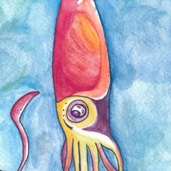 Squid Drawing Creative Style