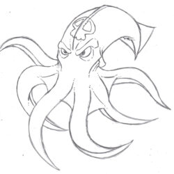 Squid Drawing Hand Drawn