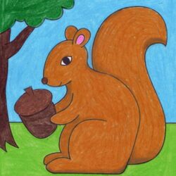 Squirrel Drawing Artistic Sketching