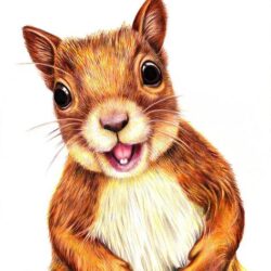 Squirrel Drawing Intricate Artwork