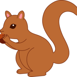 Squirrel Drawing Picture