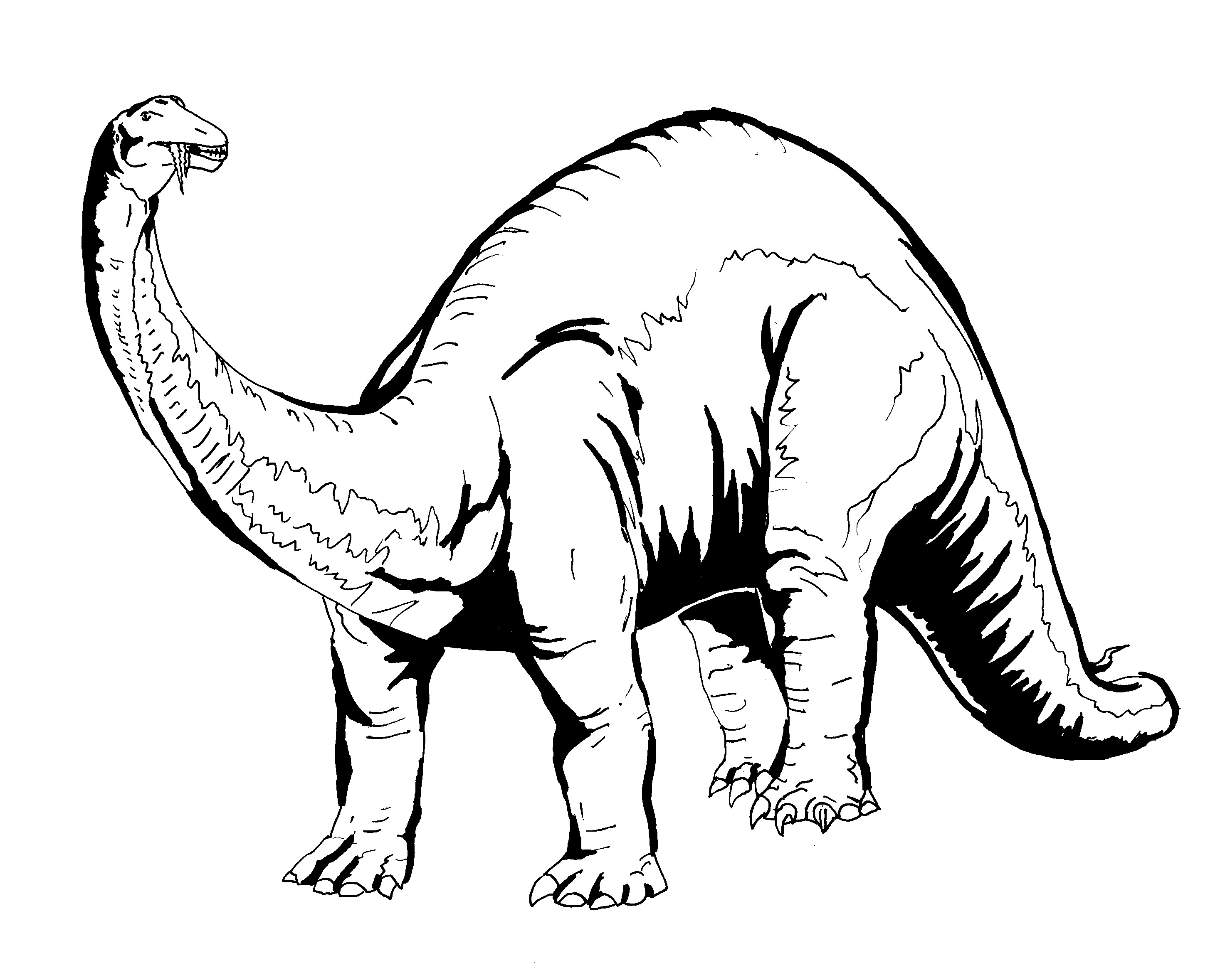 Stegosaurus Drawing Artistic Sketching