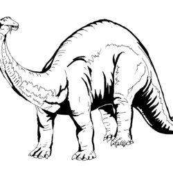 Stegosaurus Drawing Hand Drawn Sketch