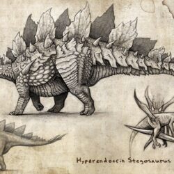 Stegosaurus Drawing Intricate Artwork