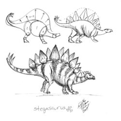 Stegosaurus Drawing Picture