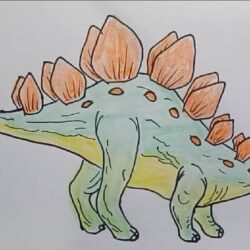 Stegosaurus Drawing Sketch