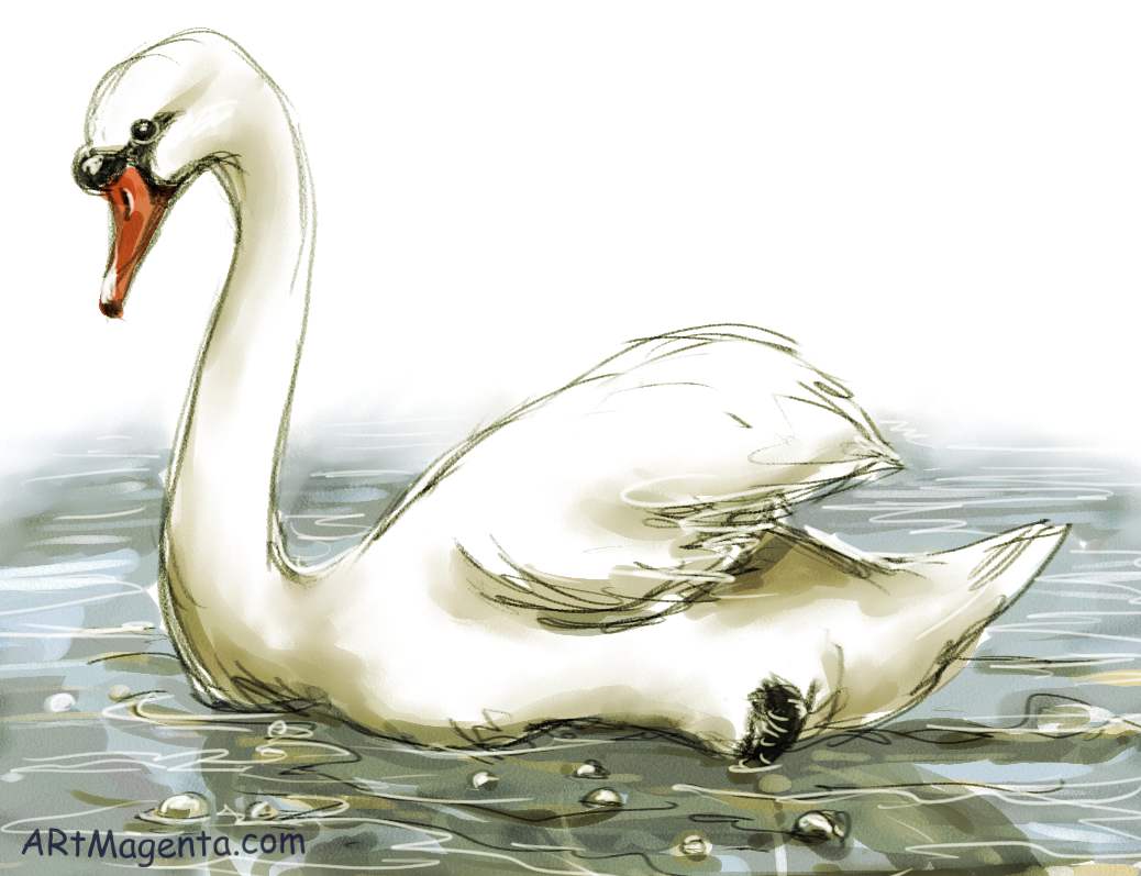 Swan Drawing Creative Style