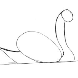 Swan Drawing Hand Drawn