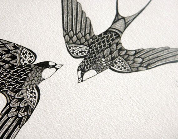 Swift Bird Drawing Beautiful Artwork