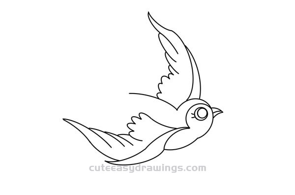 Swift Bird Drawing Detailed Sketch