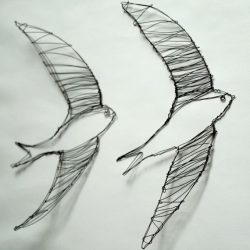 Swift Bird Drawing Fine Art