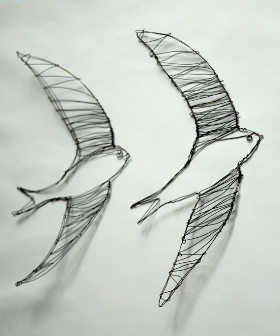 Swift Bird Drawing Fine Art