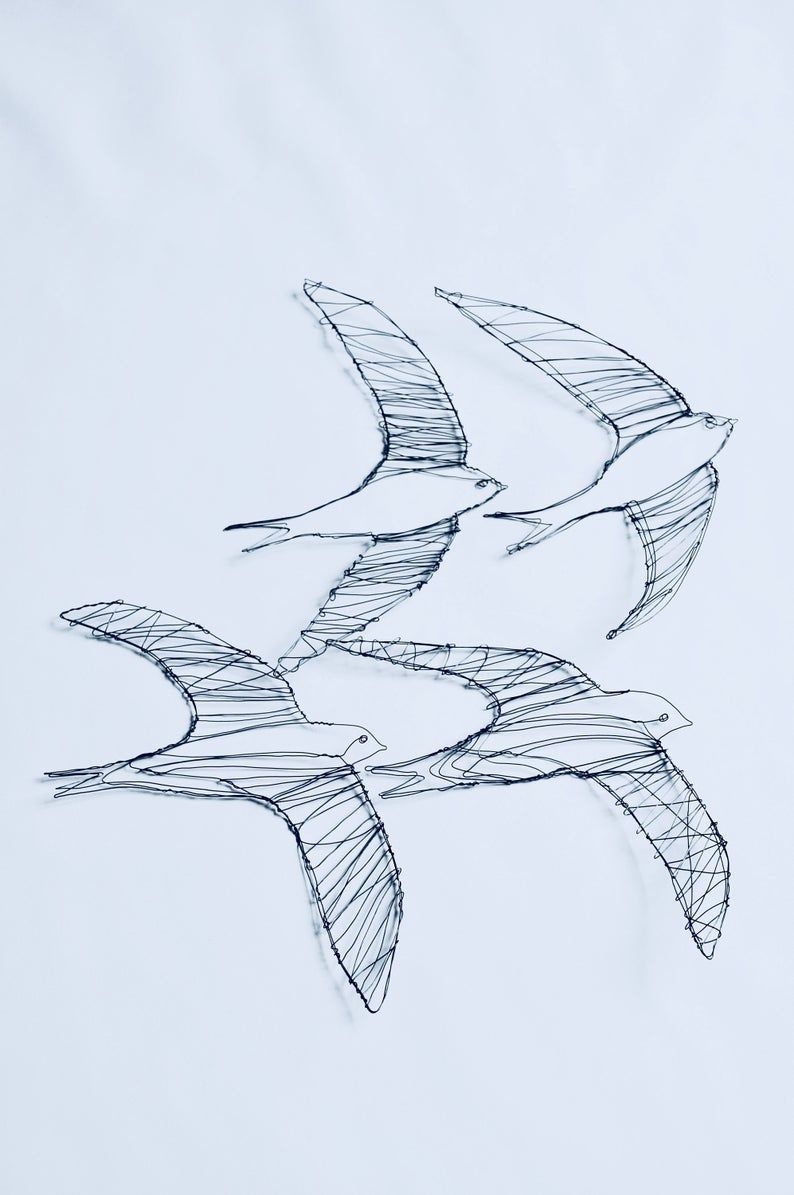Swift Bird Drawing Hand drawn Sketch