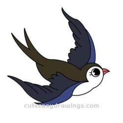 Swift Bird Drawing Image