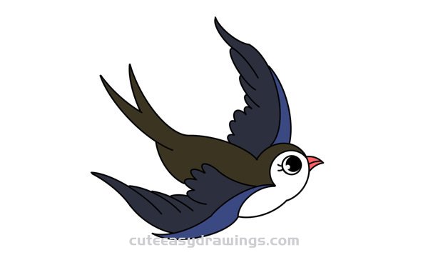 Swift Bird Drawing Image