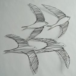 Swift Bird Drawing Photo